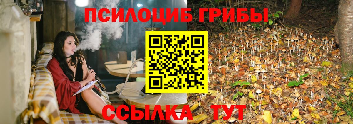 Псилоцибиновые грибы Cubensis Салават