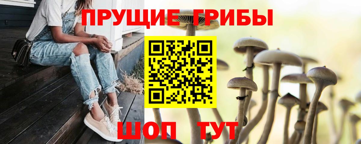 Псилоцибиновые грибы мицелий  Вход с VPN  цены   Салават 
